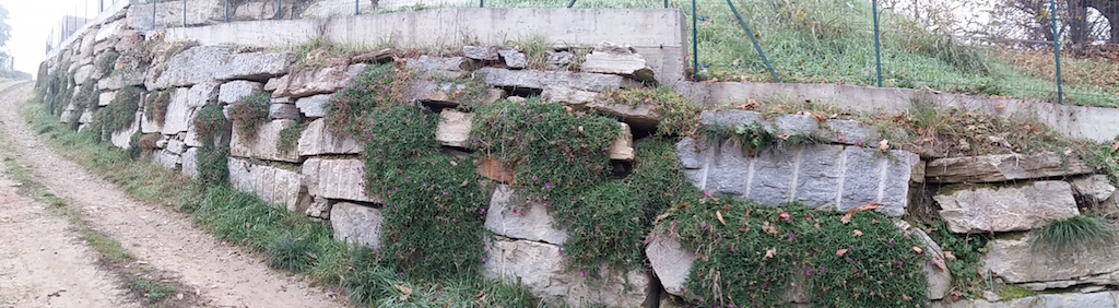 Scogliere Massi di Cava