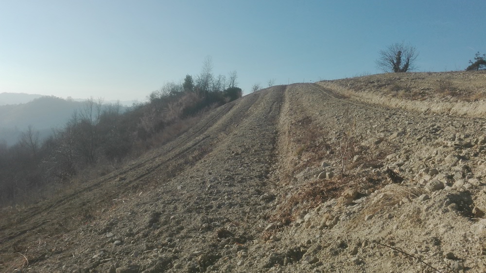 Sistemazioni agrarie